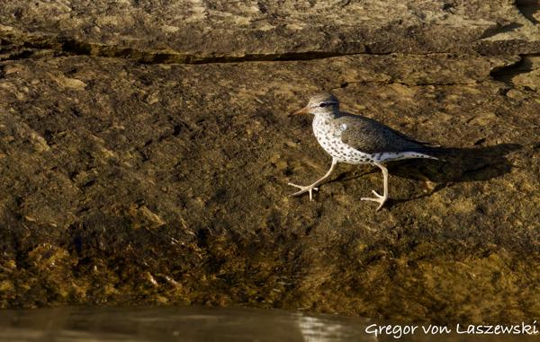 Monroe Lake Adventure 05-14-2025