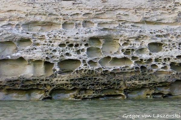  May 14, 2025 8:17 PM, Canon EOS R7, RF200-800mm F6.3-9 IS USM, 200mm, f/10.0, 1/2500s, ISO 25600, Gregor von Laszewski