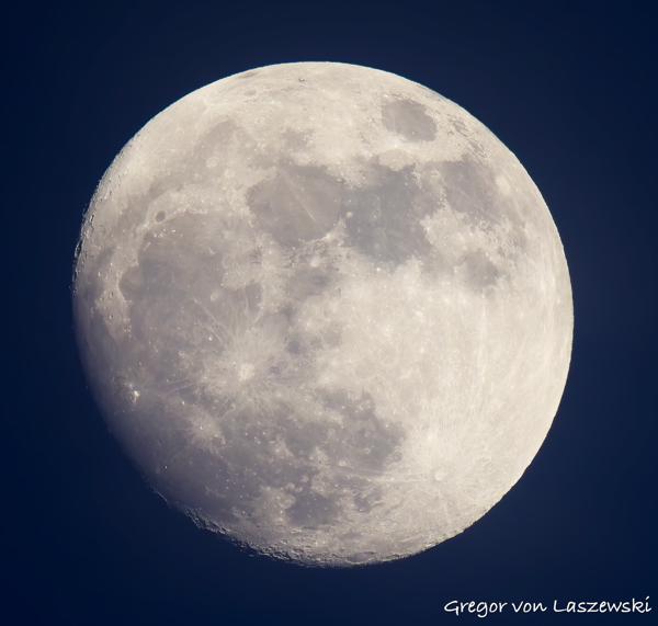  June 8, 2025 9:20 PM, Canon EOS R7, RF200-800mm F6.3-9 IS USM, 800mm, f/9.0, 1/200s, ISO 400, Gregor von Laszewski