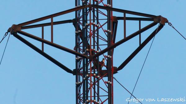  June 19, 2025 9:07 PM, Canon EOS R7, RF100-500mm F4.5-7.1 L IS USM + EXTENDER RF2x, 600mm, f/13.0, 1/1000s, ISO 8000, Gregor von Laszewski