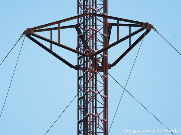  June 19, 2025 9:10 PM, Canon EOS R7, RF100-500mm F4.5-7.1 L IS USM, 500mm, f/7.1, 1/1000s, ISO 5000, Gregor von Laszewski