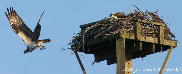Monroe Lake 06-21-2025