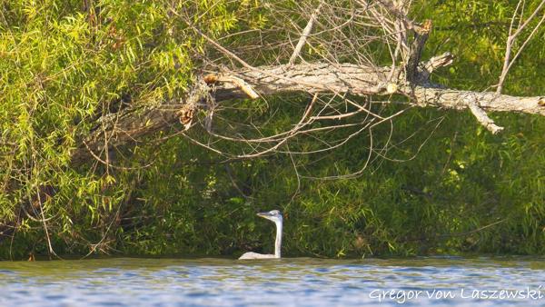 Monroe Lake 06-30-2025