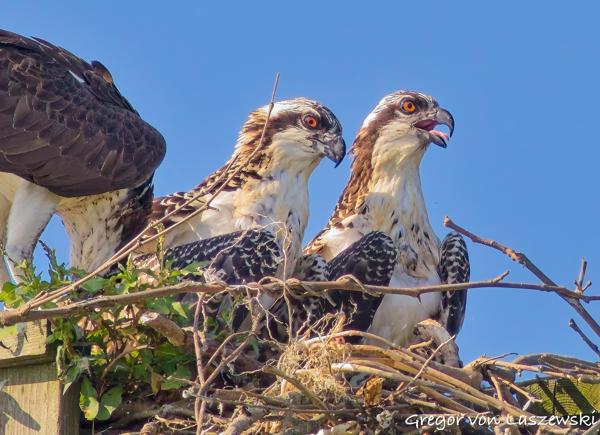 Adventures Monroe Lake, July 2025