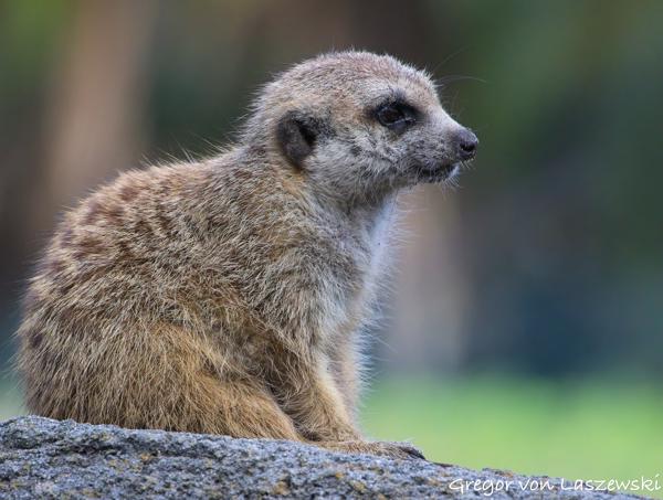 Florida December 2024