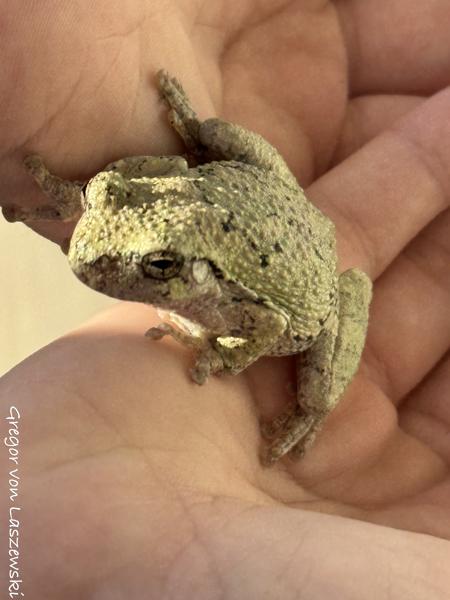  May 4, 2024 6:33 PM, iPhone 15 Pro Max, iPhone 15 Pro Max back triple camera 6.765mm f/1.78, 251773/37217mm, f/1.8, 1/1193s, ISO 64, 